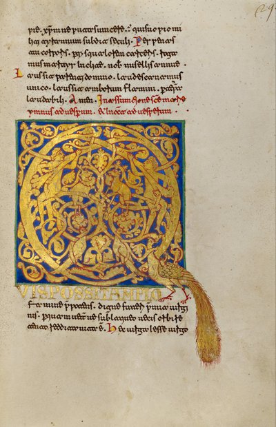 Inhabited Initial Q by Unbekannt Unbekannt
